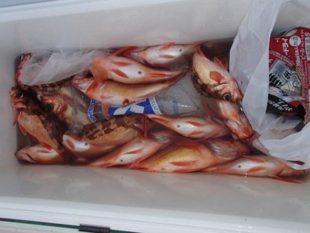 第二むつ漁丸 釣果