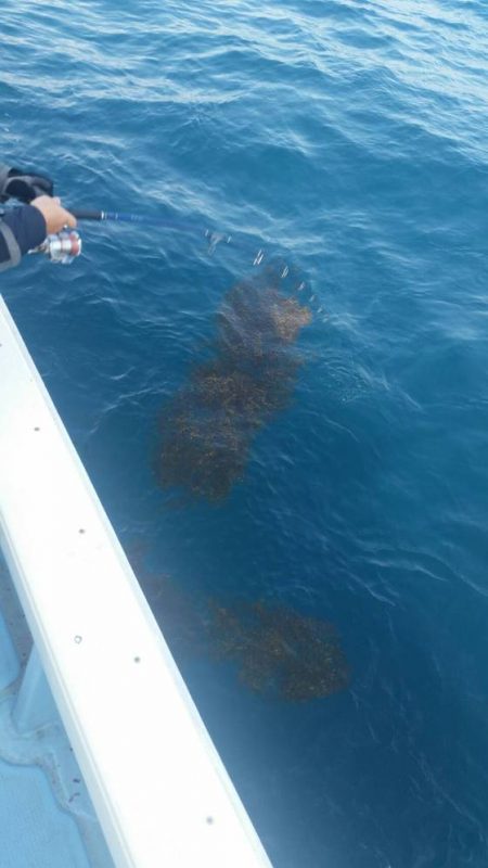 第五慶門丸 釣果