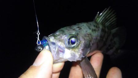 春はまだ遠い…