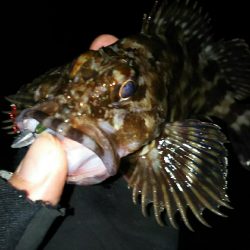 安定のポイントへ