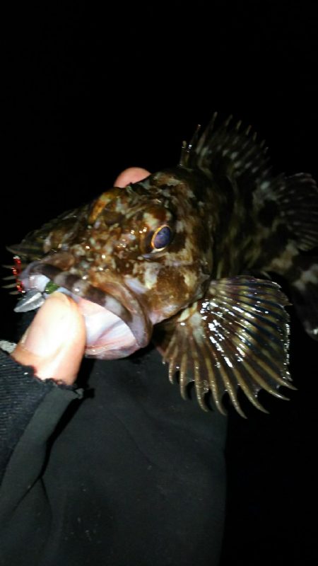 安定のポイントへ