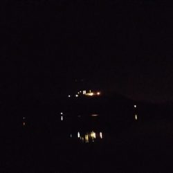 淡路島アジ調査