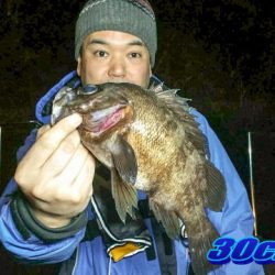 オーシャンマスター 釣果