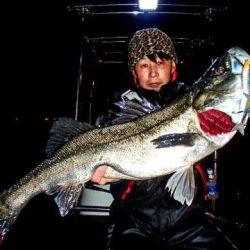 オーシャンマスター 釣果