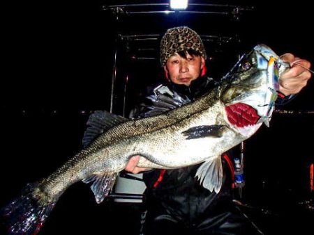 オーシャンマスター 釣果