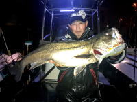 オーシャンマスター 釣果