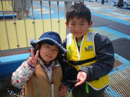 オリジナルメーカー海づり公園(市原市海づり施設) 釣果
