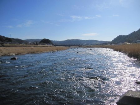 狩野川（狩野川漁業協同組合） 釣果