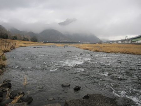 狩野川(狩野川漁業協同組合) 釣果