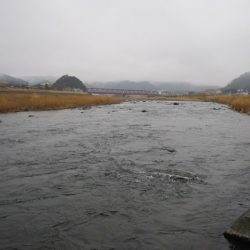 狩野川(狩野川漁業協同組合) 釣果
