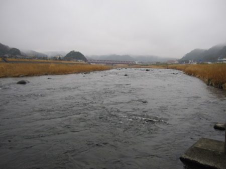 狩野川(狩野川漁業協同組合) 釣果
