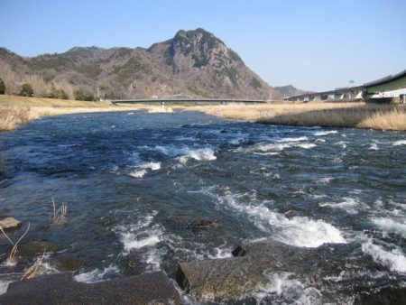 狩野川（狩野川漁業協同組合） 釣果