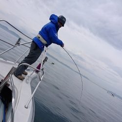 フィッシングボートACE（エース） 釣果