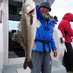 フィッシングボートACE（エース） 釣果