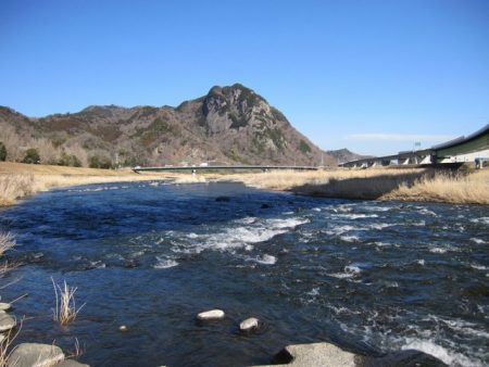 狩野川（狩野川漁業協同組合） 釣果