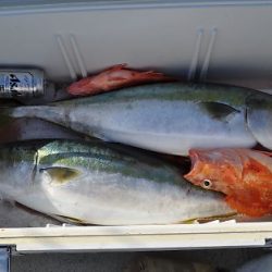 八海丸 釣果