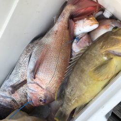 寿裕 （YOSHIHIRO） 釣果