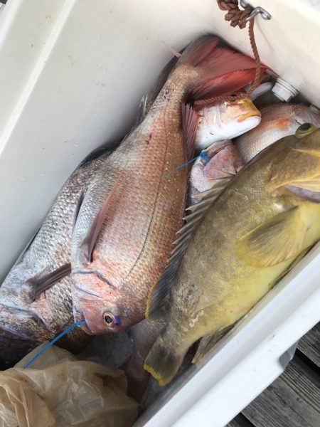 寿裕 （YOSHIHIRO） 釣果