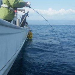 第五慶門丸 釣果