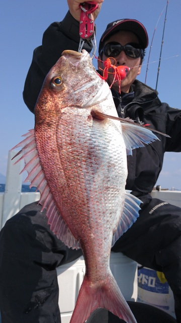海晴丸 釣果