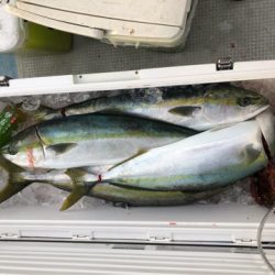 あみや渡船 JIGBOY 釣果