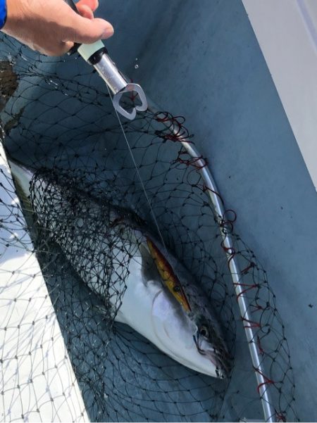 あみや渡船 JIGBOY 釣果