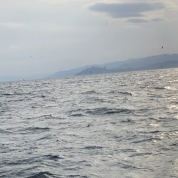 あみや渡船 JIGBOY 釣果