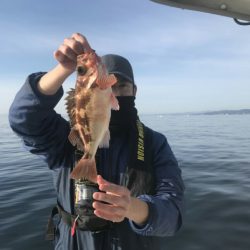 海坊主Ｖ 釣果