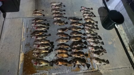 FISHING RISKY 釣果