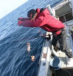 第二清洋丸 釣果