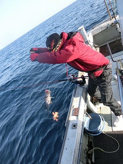 第二清洋丸 釣果