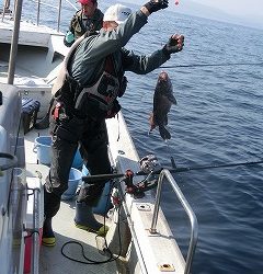 第二清洋丸 釣果