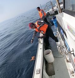 第二清洋丸 釣果