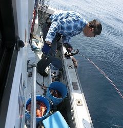 第二清洋丸 釣果