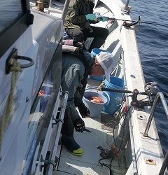 第二清洋丸 釣果