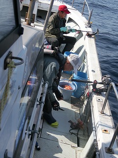 第二清洋丸 釣果