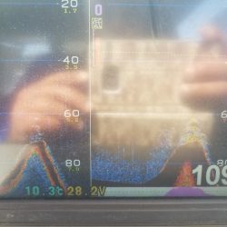 遊漁船 ニライカナイ 釣果