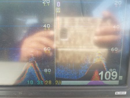 遊漁船 ニライカナイ 釣果