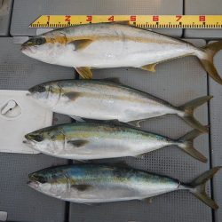 sea boss　シーボス 釣果