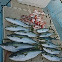 旭星釣りセンター 釣果