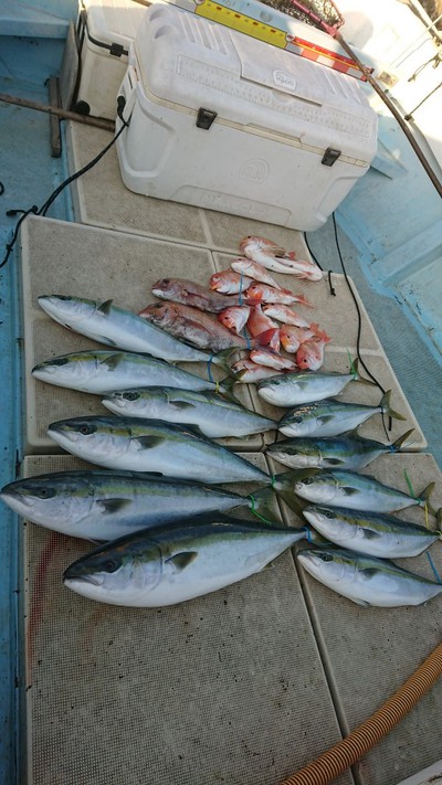 旭星釣りセンター 釣果