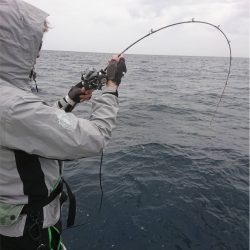 マタウマリンサービス 釣果