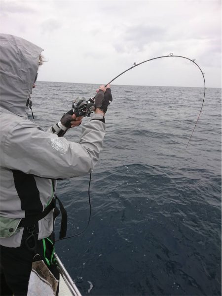 マタウマリンサービス 釣果