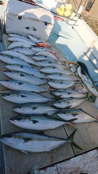 旭星釣りセンター 釣果