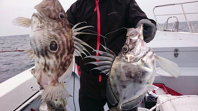 海龍丸（福岡） 釣果