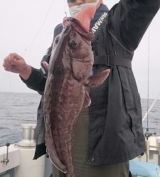 海龍丸（福岡） 釣果