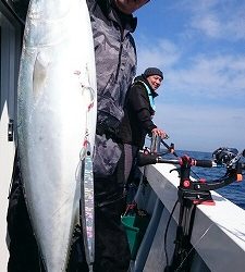 海龍丸（福岡） 釣果