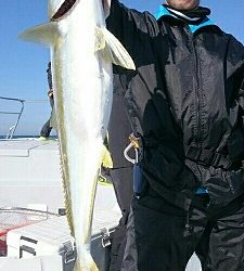 海龍丸（福岡） 釣果