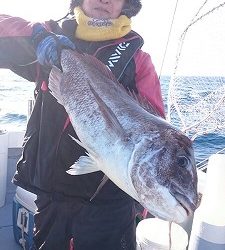 海龍丸（福岡） 釣果