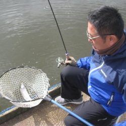 吉羽園 釣果